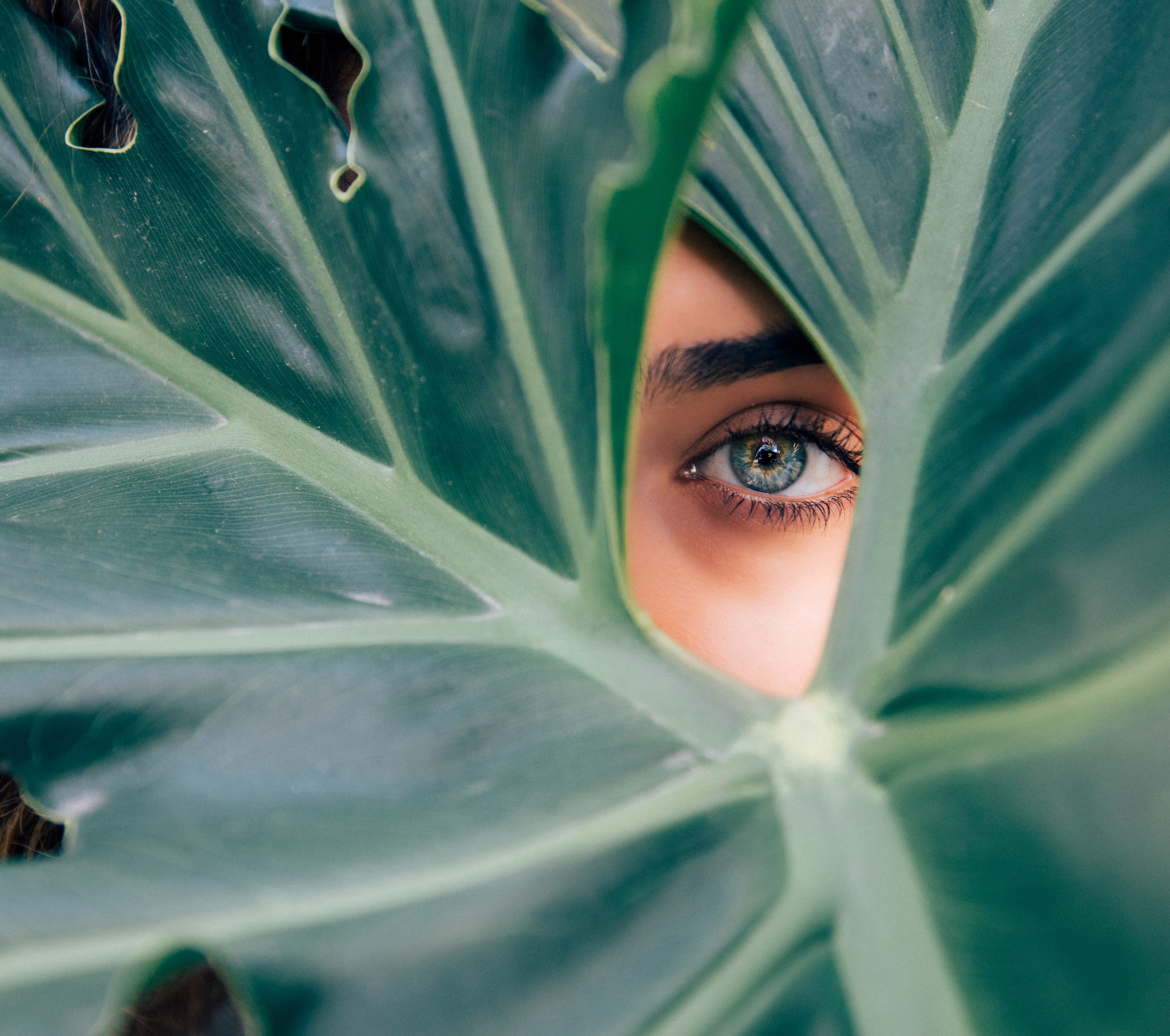 drew-graham-cTKGZJTMJQU-unsplash 1